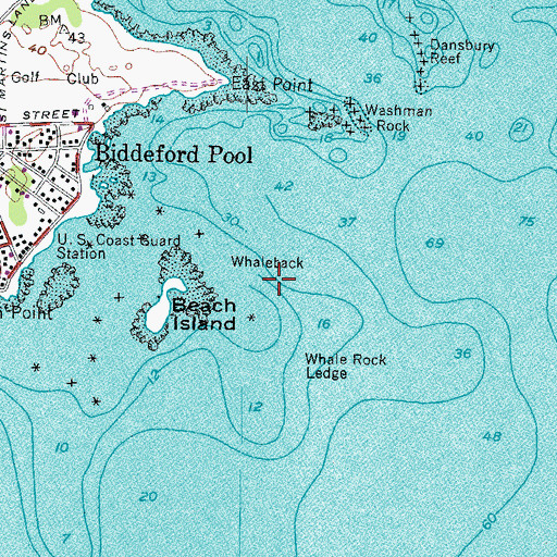 Topographic Map of Whaleback, ME