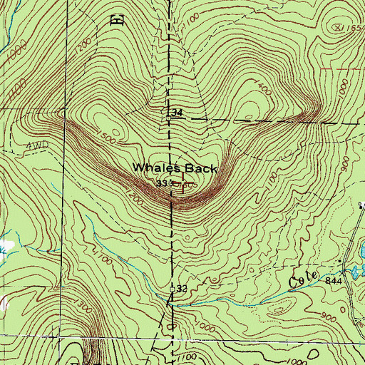 Topographic Map of Whales Back, ME