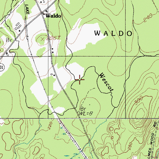 Topographic Map of White Brook, ME