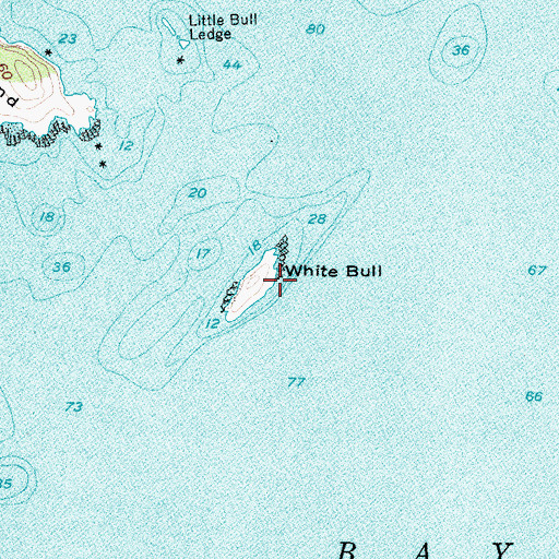 Topographic Map of White Bull, ME