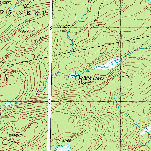 Topographic Map of White Deer Pond, ME
