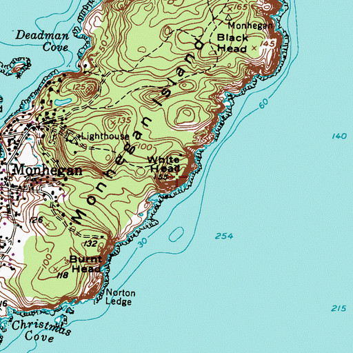 Topographic Map of White Head, ME
