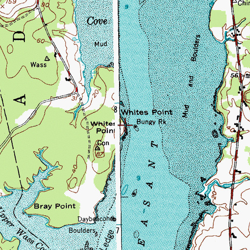 Topographic Map of Whites Point, ME