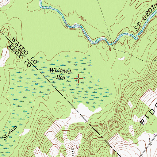 Topographic Map of Whitney Bog, ME