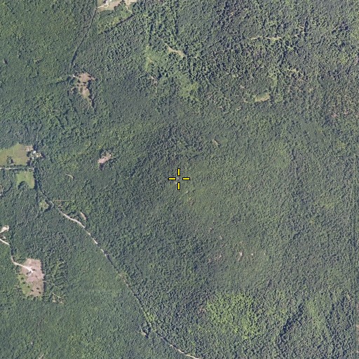 Aerial/Satellite Image of Wiggin Mountain, ME