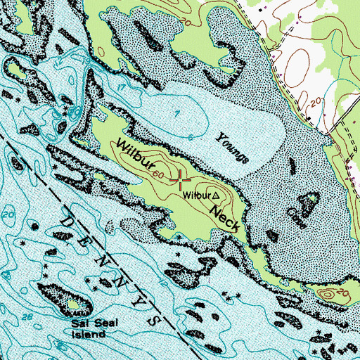 Topographic Map of Wilbur Neck, ME
