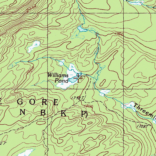 Topographic Map of Williams Pond, ME