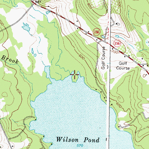 Topographic Map of Wilson Stream, ME