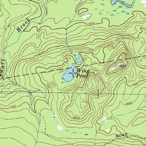Topographic Map of Wing Pond, ME