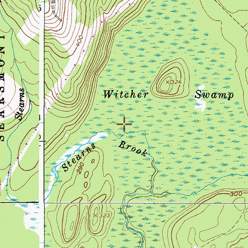 Topographic Map of Witcher Swamp, ME