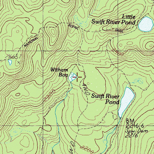 Topographic Map of Witham Bog, ME
