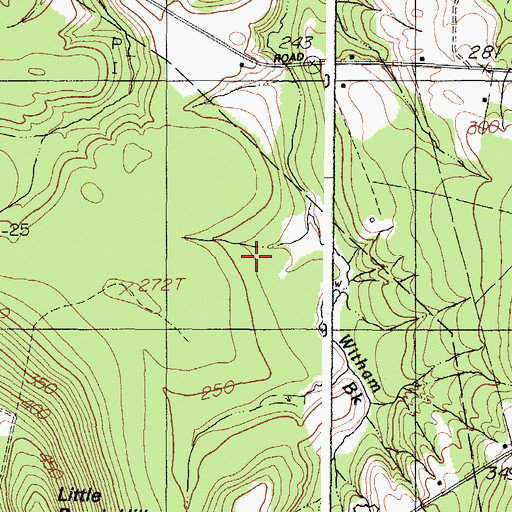 Topographic Map of Witham Brook, ME