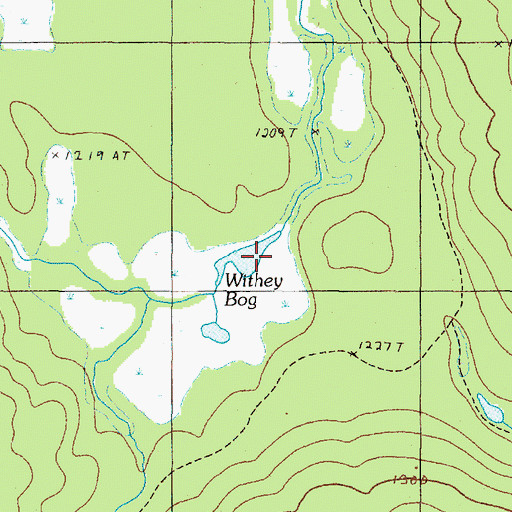 Topographic Map of Withey Bog, ME