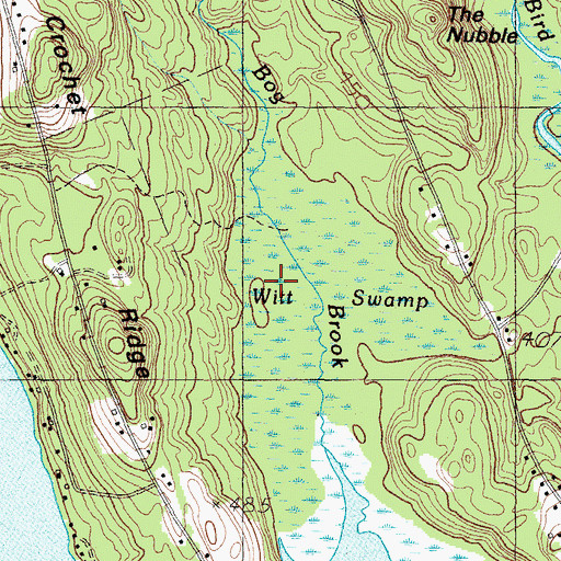 Topographic Map of Witt Swamp, ME