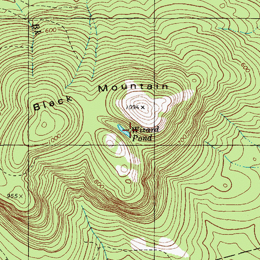 Topographic Map of Wizard Pond, ME
