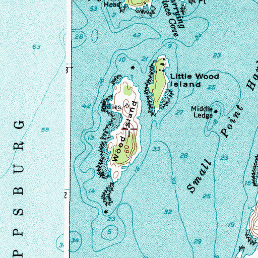 Topographic Map of Wood Island, ME