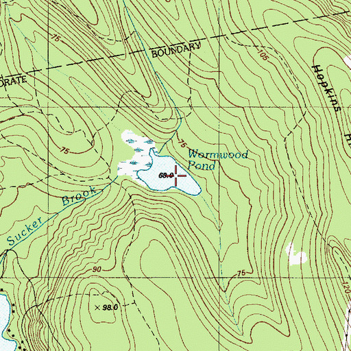 Topographic Map of Wormwood Pond, ME