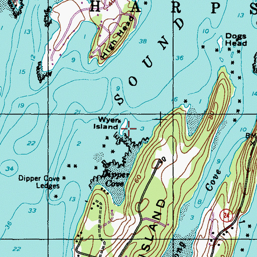 Topographic Map of Wyer Island, ME