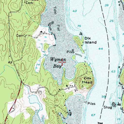 Topographic Map of Wyman Bay, ME