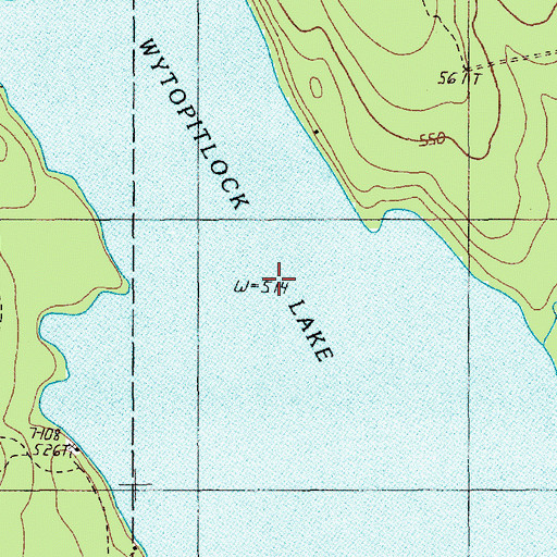 Topographic Map of Wytopitlock Lake, ME