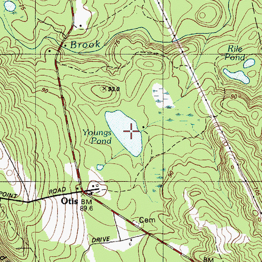 Topographic Map of Youngs Pond, ME