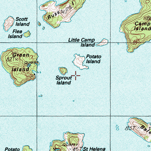 Topographic Map of Sprout Island, ME