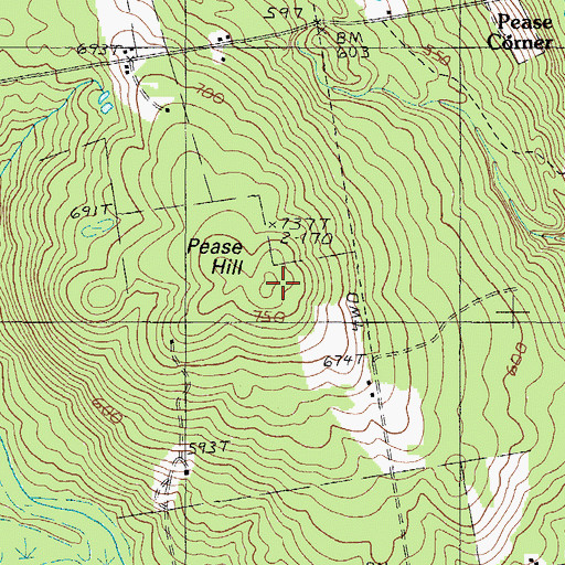 Topographic Map of Pease Hill, ME