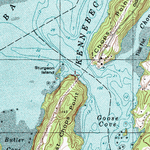 Topographic Map of West Chops Point, ME