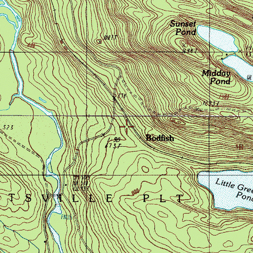 Topographic Map of Bodfish, ME