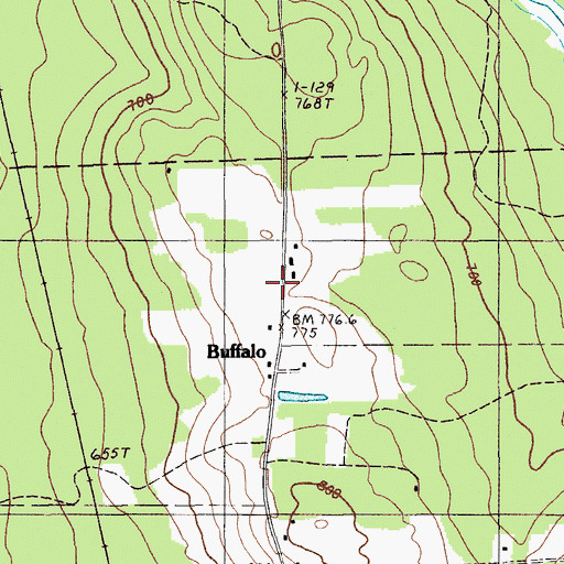 Topographic Map of Buffalo, ME