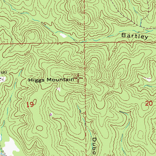 Topographic Map of Higgs Mountain, AR