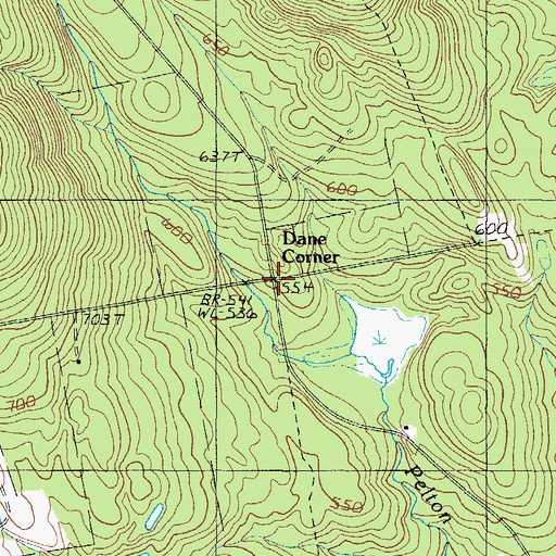 Topographic Map of Dane Corner, ME
