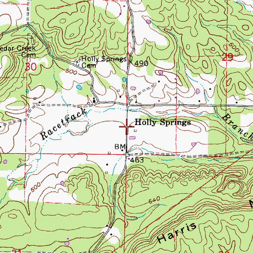 Topographic Map of Holly Springs, AR