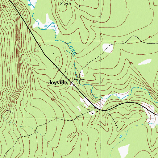 Topographic Map of Joyville, ME