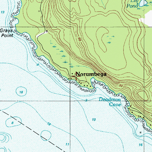 Topographic Map of Norumbega, ME