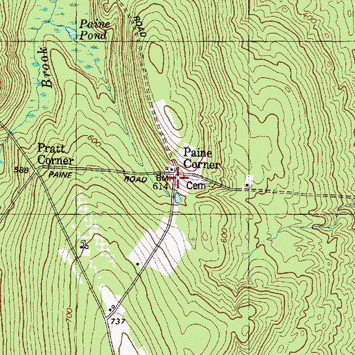 Topographic Map of Paine Corner, ME