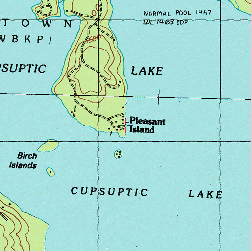 Topographic Map of Pleasant Island, ME