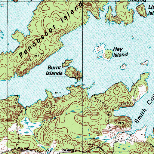 Topographic Map of Burnt Island, ME