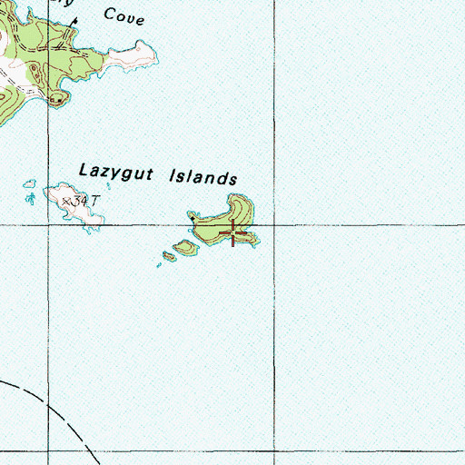 Topographic Map of Lazygut Island, ME