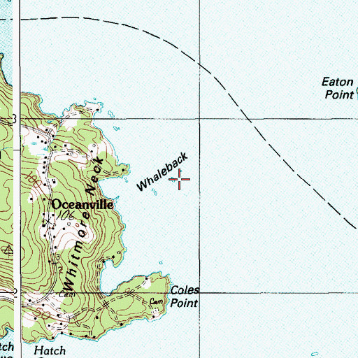 Topographic Map of Whaleback Ledge, ME