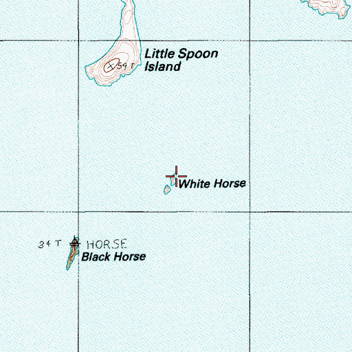 Topographic Map of Whitehorse Island, ME