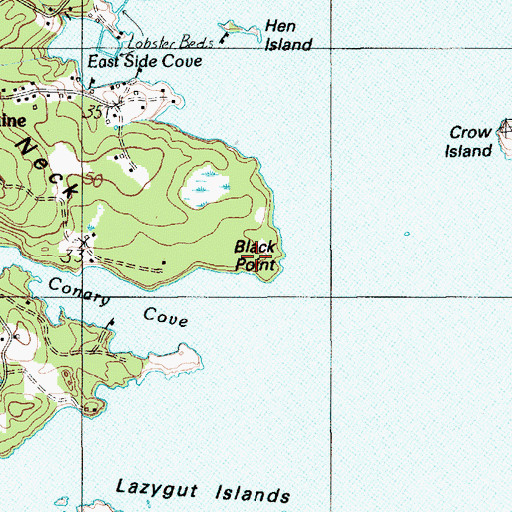 Topographic Map of Black Point, ME
