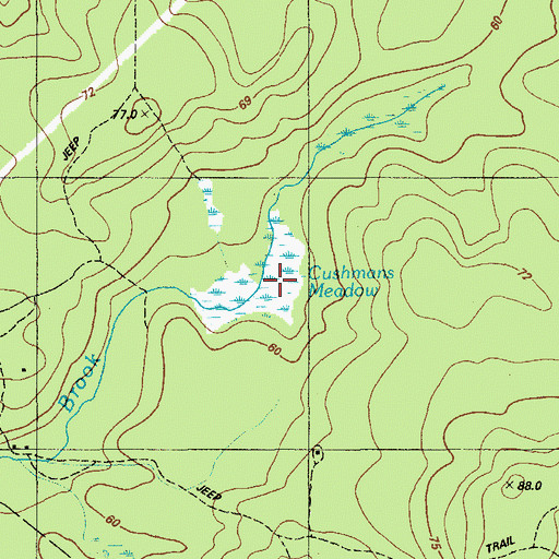 Topographic Map of Cushmans Meadow, ME