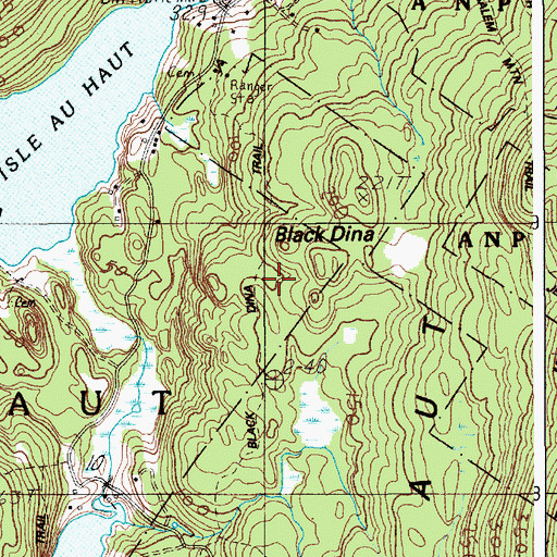 Topographic Map of Black Dina Trail, ME