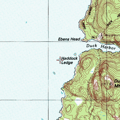 Topographic Map of Haddock Ledge, ME