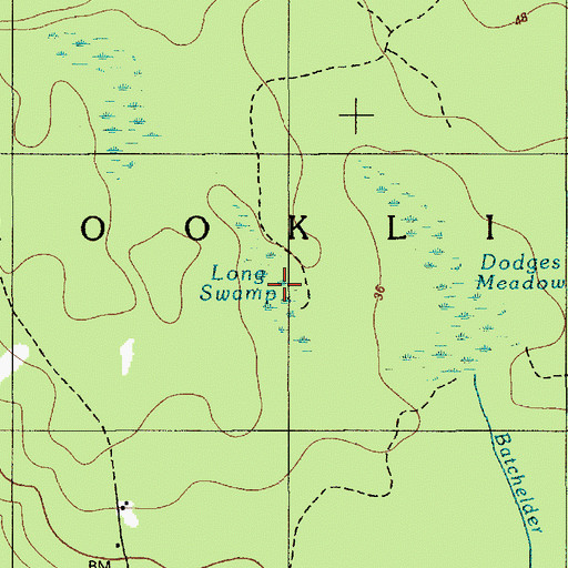 Topographic Map of Long Swamp, ME