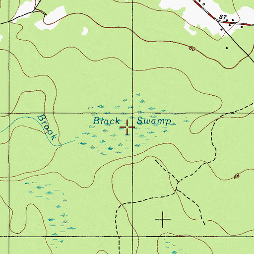 Topographic Map of Black Swamp, ME