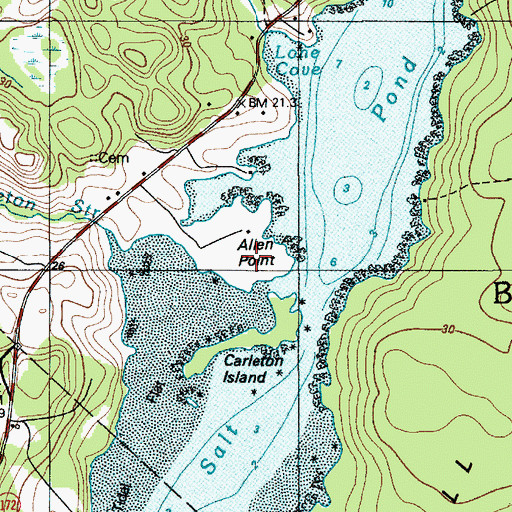 Topographic Map of Allen Point, ME