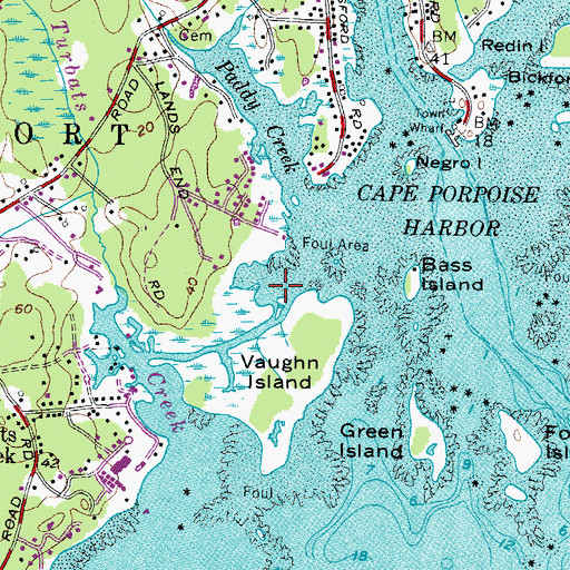 Topographic Map of Porpoise Cove, ME