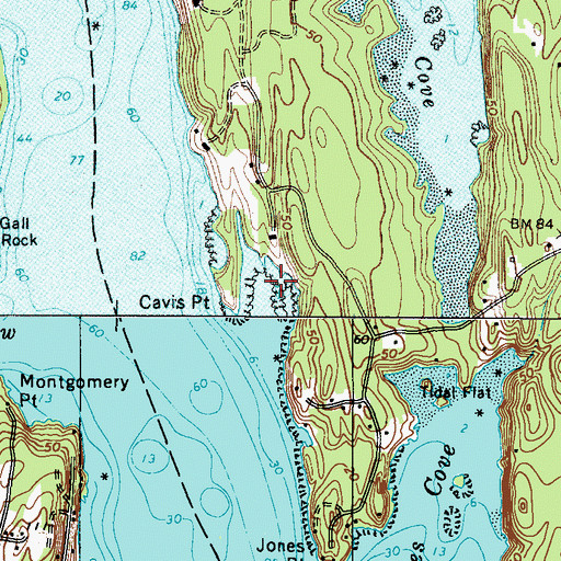 Topographic Map of Cavis Cove, ME